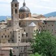 Urbino